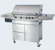 Gas Barbecue Grill